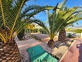 Wunderschöne Villa mit 3 Schlafzimmern und 2 Bädern und massivem Unterbau in Alicante Dream Homes Hondon