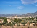 Belle villa de 3 chambres et 2 salles de bain avec sous-construction massive in Alicante Dream Homes Hondon