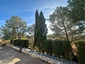 Maison de campagne de 2 chambres avec un très grand terrain in Alicante Dream Homes Hondon