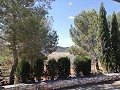 2 Bed Countryhouse with a very large Plot in Alicante Dream Homes Hondon