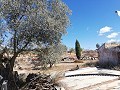 2 Bed Countryhouse with a very large Plot in Alicante Dream Homes Hondon