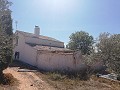 Maison de campagne de 2 chambres avec un très grand terrain in Alicante Dream Homes Hondon