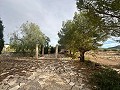 Immense maison de campagne de 6 chambres à Ubeda in Alicante Dream Homes Hondon