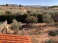 Villa à pied de la ville avec piscine et maison d'hôtes in Alicante Dream Homes Hondon