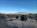 Casa de campo con impresionantes vistas. in Alicante Dream Homes Hondon