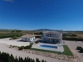 Atemberaubende Villa mit Swimmingpool und Gästehaus in Pinoso in Alicante Dream Homes Hondon