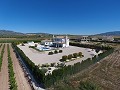 Impresionante villa con piscina y casa de invitados en Pinoso in Alicante Dream Homes Hondon