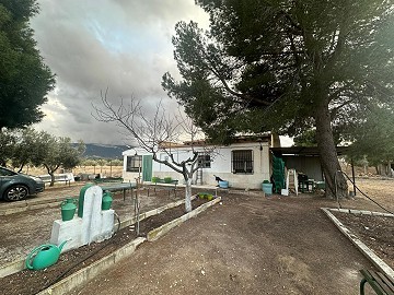 Two Houses on Separate Plots