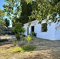 Schönes Landhaus mit großem Padelplatz in Alicante Dream Homes Hondon