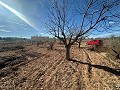 Geen Bouwgrond in Rodriguillo, Pinoso in Alicante Dream Homes Hondon