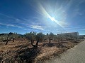 Geen Bouwgrond in Rodriguillo, Pinoso in Alicante Dream Homes Hondon