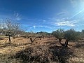 Geen Bouwgrond in Rodriguillo, Pinoso in Alicante Dream Homes Hondon