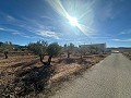 Geen Bouwgrond in Rodriguillo, Pinoso in Alicante Dream Homes Hondon