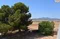 Beeindruckendes Stadthaus in einem kleinen Dorf mit großer Bodega und Pool in Alicante Dream Homes Hondon