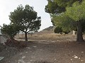 Jolie maison troglodyte à rénover in Alicante Dream Homes Hondon