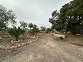 2 maisons de campagne à Novelda in Alicante Dream Homes Hondon