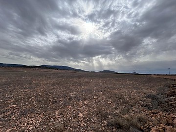 Immenses parcelles situées à Yecla