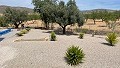 Villa presque neuve de 3/4 chambres avec piscine, garage double et rangement in Alicante Dream Homes Hondon