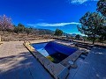 Belle maison de campagne avec piscine à Monóvar in Alicante Dream Homes Hondon