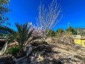 Beautiful country house with pool in Monóvar in Alicante Dream Homes Hondon