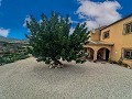 Wunderschöne Villa/Höhlenhaus mit 4 Schlafzimmern in Fortuna in Alicante Dream Homes Hondon