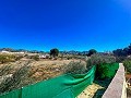 Charming country house in between Sax and Elda in Alicante Dream Homes Hondon