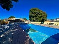 Charming country house in between Sax and Elda in Alicante Dream Homes Hondon