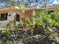 2 Bedroom 2 Bathroom Country Home in Alicante Dream Homes Hondon