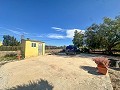 Maison de campagne en bois à Aspe in Alicante Dream Homes Hondon