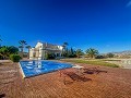 Luxury tradicional villa in Novelda  in Alicante Dream Homes Hondon