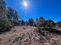 Impresionante Casa Rural de 9 habitaciones en Biar in Alicante Dream Homes Hondon