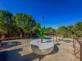 Impresionante Casa Rural de 9 habitaciones en Biar in Alicante Dream Homes Hondon