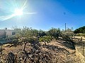 Schönes Landhaus mit Pool in Agost in Alicante Dream Homes Hondon