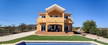 Superbe villa de 4 chambres et 3 salles de bain à Pinoso