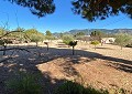 Villa de 3 chambres et 1 salle de bain très bien située avec piscine et maison d'hôtes de 2 étages à Sax in Alicante Dream Homes Hondon