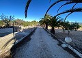 Villa de 3 chambres et 1 salle de bain très bien située avec piscine et maison d'hôtes de 2 étages à Sax in Alicante Dream Homes Hondon