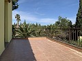 Villa mit 3 Schlafzimmern und 2 Bädern. Gehen Sie in die Stadt Novelda in Alicante Dream Homes Hondon