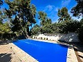 Beautiful country house with pool in Almansa in Alicante Dream Homes Hondon