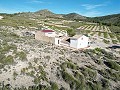 Maison de campagne de 5 chambres et 1 salle de bain à Caudete in Alicante Dream Homes Hondon