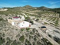 Maison de campagne de 5 chambres et 1 salle de bain à Caudete in Alicante Dream Homes Hondon