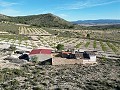 Maison de campagne de 5 chambres et 1 salle de bain à Caudete in Alicante Dream Homes Hondon