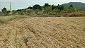 Building Plot in Monovar in Alicante Dream Homes Hondon