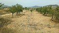 Building Plot in Monovar in Alicante Dream Homes Hondon