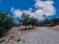 Villa avec vue imprenable et piscine in Alicante Dream Homes Hondon