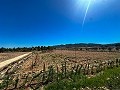 5000 Quadratmeter großes Grundstück mit unglaublicher Aussicht in Yecla in Alicante Dream Homes Hondon