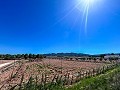 5000 Quadratmeter großes Grundstück mit unglaublicher Aussicht in Yecla in Alicante Dream Homes Hondon