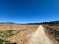 5000 square meter plot with incredible views in Yecla in Alicante Dream Homes Hondon