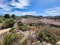 Finca de 4 dormitorios con piscina in Alicante Dream Homes Hondon