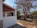 4-Bett-Landhaus in der Nähe von Yecla in Alicante Dream Homes Hondon