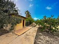 Belle villa avec piscine et 5 chambres à Sax in Alicante Dream Homes Hondon